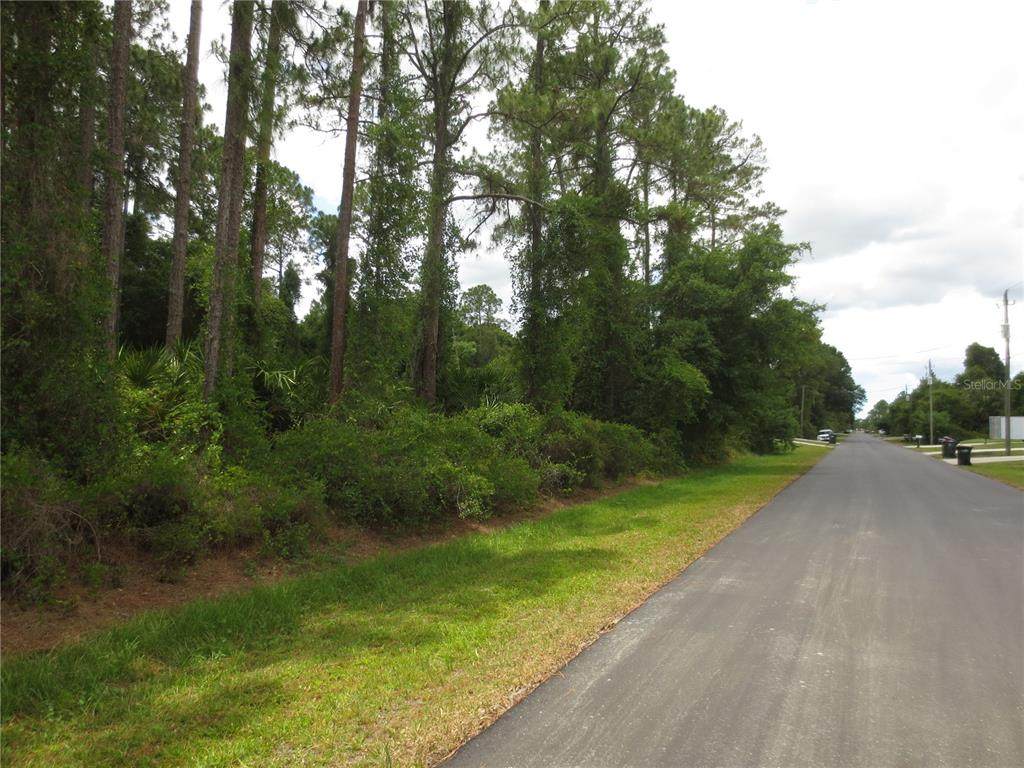 Clearfield Street - Photo 1