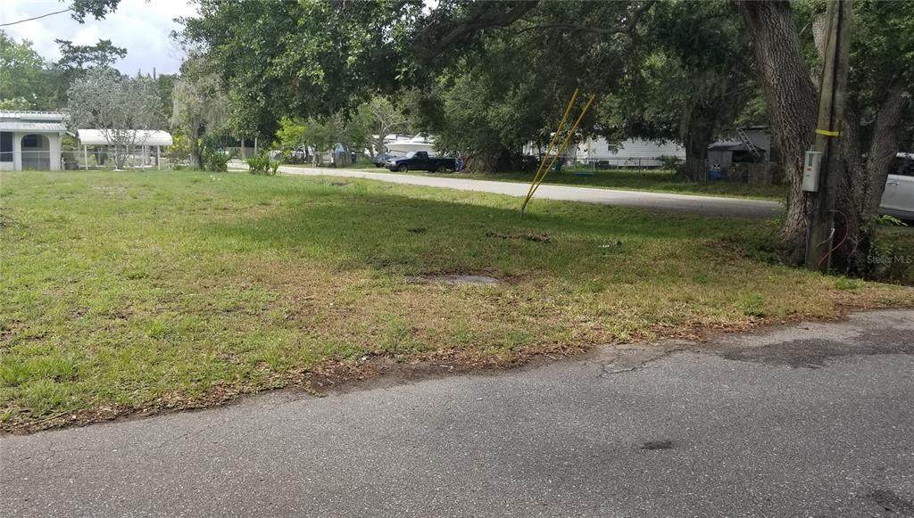 Ruby Avenue - Photo 1