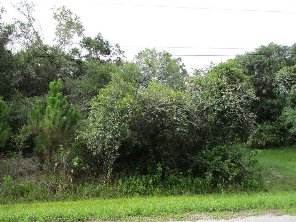 Lolly Road - Photo 1