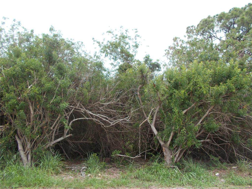 Falcon Road - Photo 1