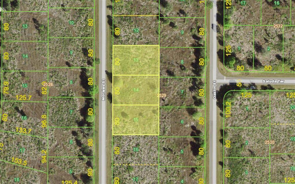 238, 246 & 254 Morales Street - Photo 1