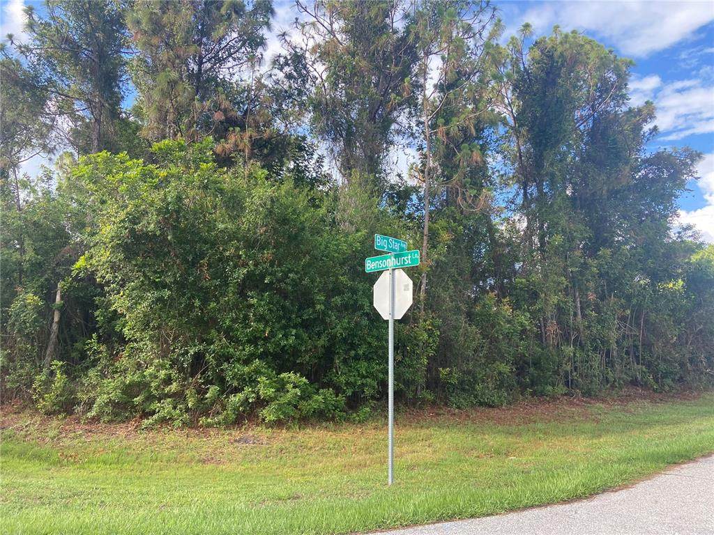 9183 Big Star Ave Avenue - Photo 1