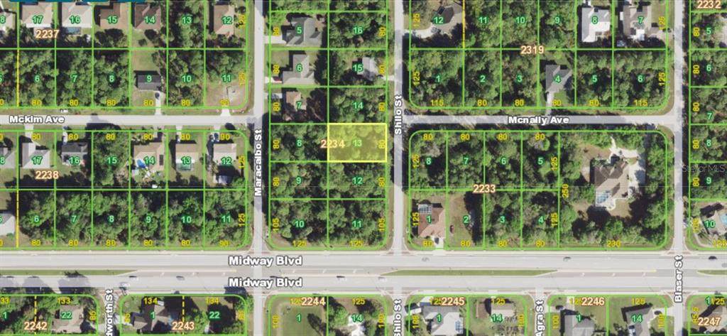 1627 Shilo Street - Photo 1