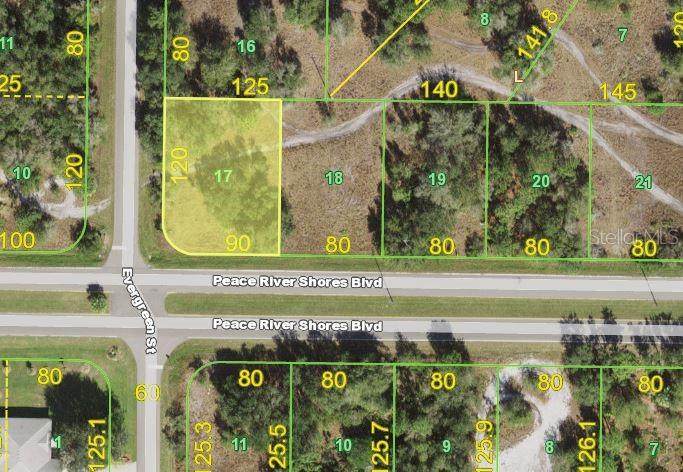 29400 Peace River Shores Boulevard - Photo 1