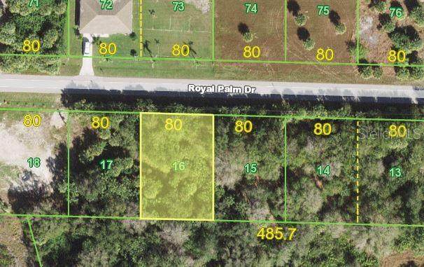 28419 Royal Palm Drive - Photo 1