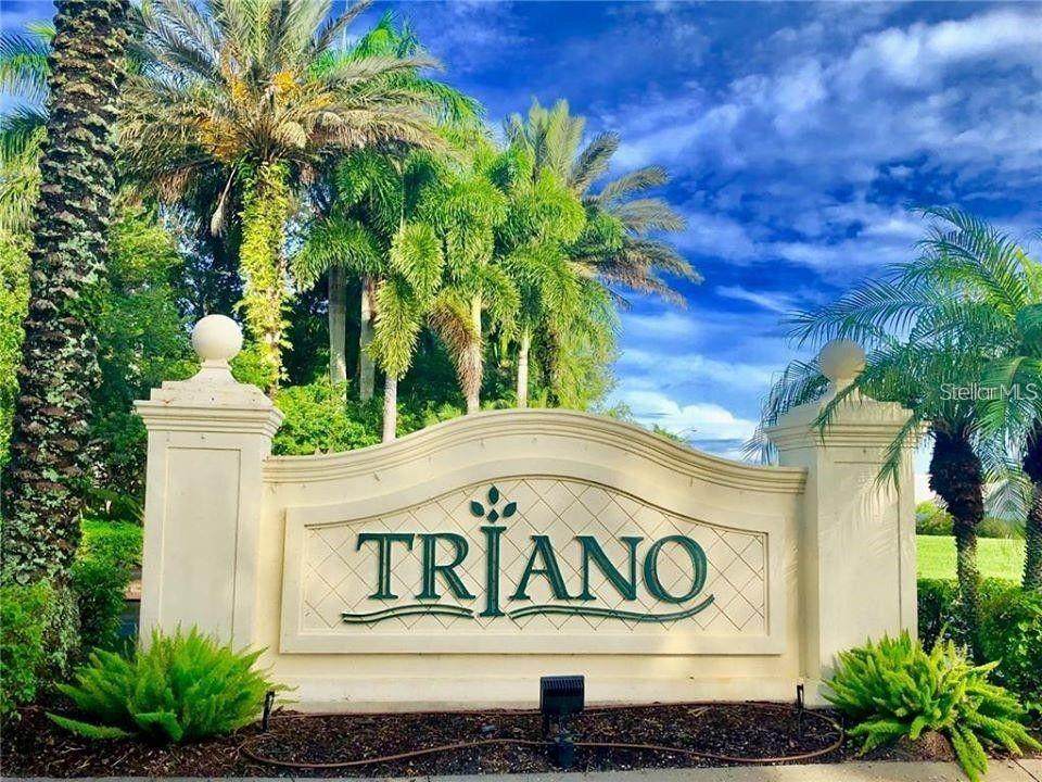 503 Triano Circle - Photo 1