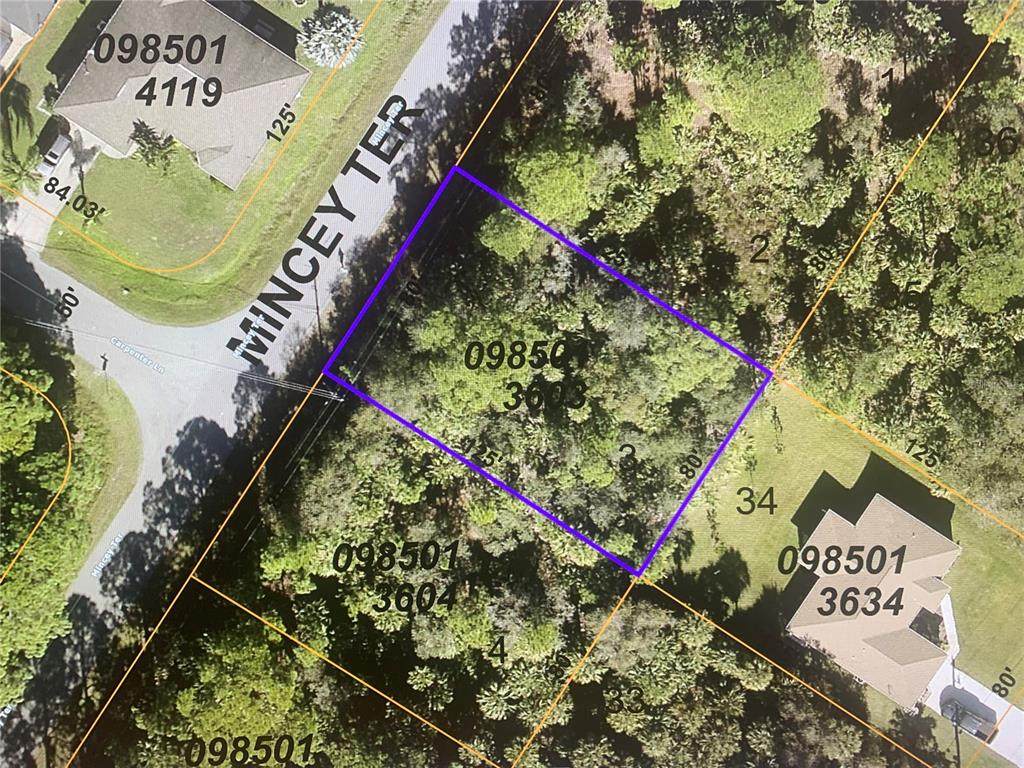 Mincey Lot 3 Terrace - Photo 1