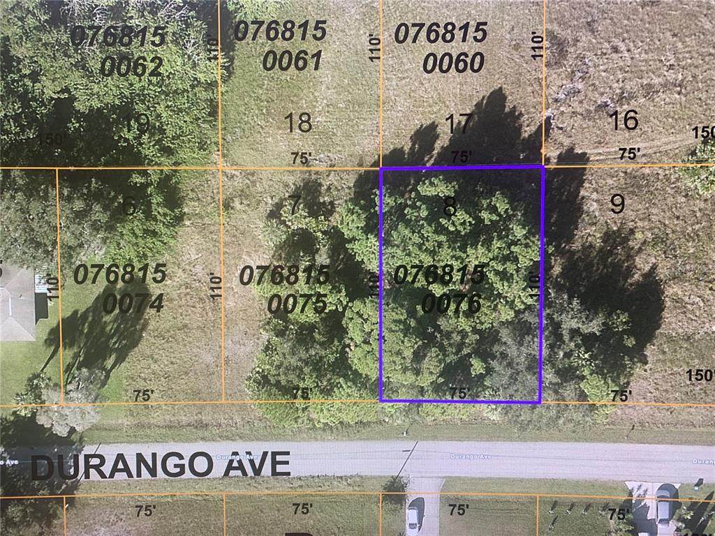 Durango Lot 8 Avenue - Photo 1