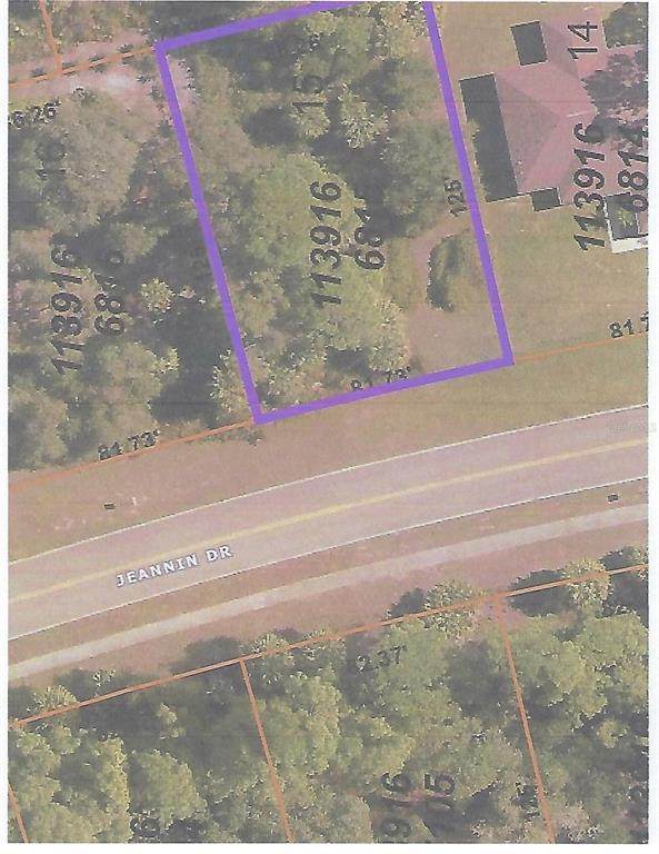Jeannin Drive - Photo 1