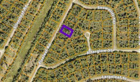 Fiveleaf Road - Photo 1