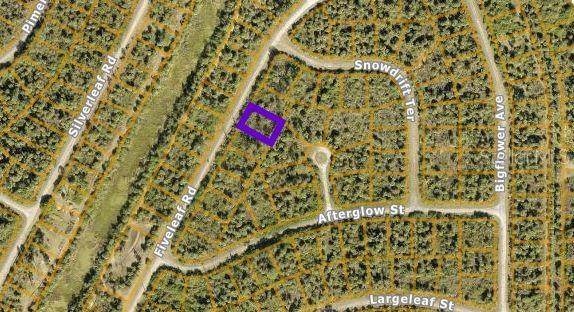 Lot 7 Fiveleaf Road - Photo 1
