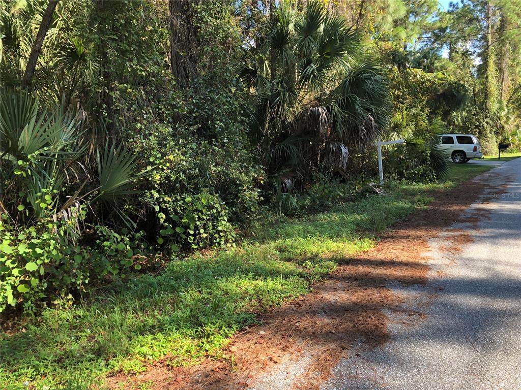 Daphne Road - Photo 1