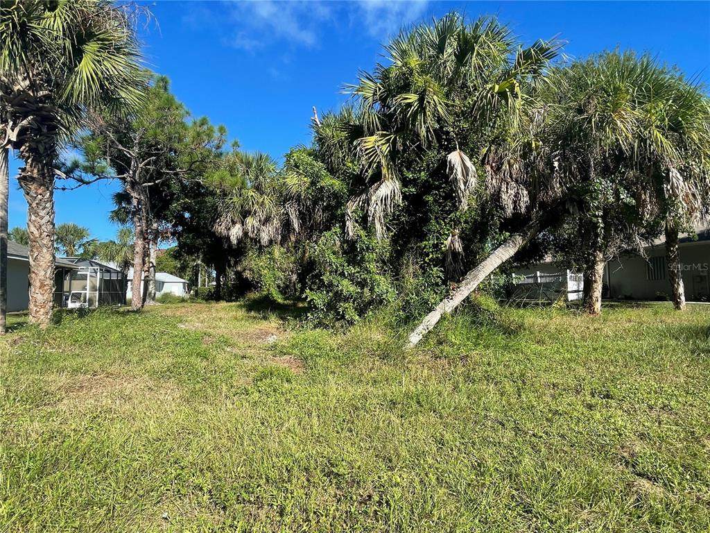 53 Long Meadow Lane - Photo 1