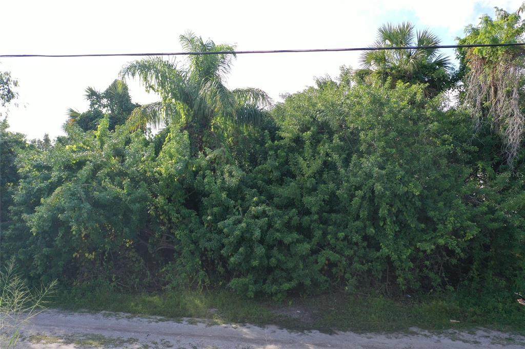 2529 Carmen Street - Photo 1
