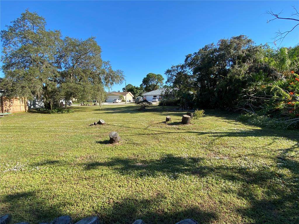 Palmetto Drive - Photo 1