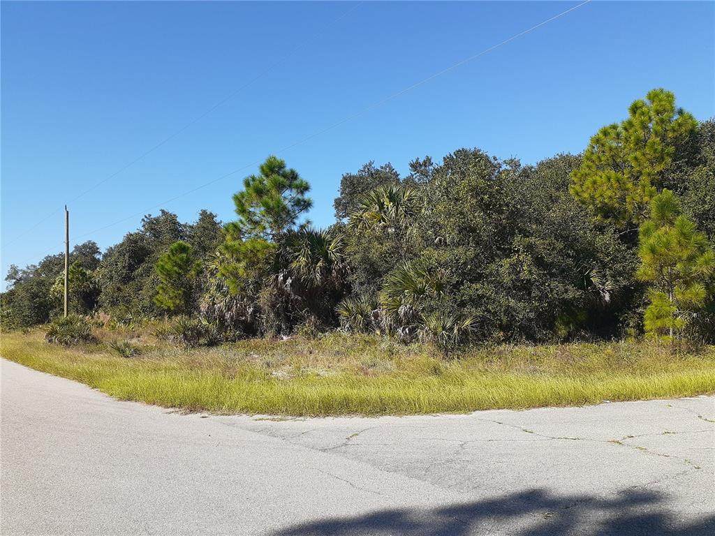 Mattox Circle - Photo 1