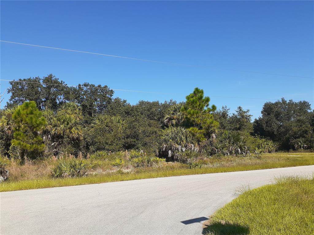 Mattox Circle - Photo 1