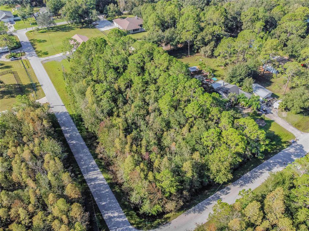 27272 Iron Gate Lane - Photo 1