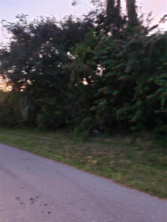 1453 Pulaski Street - Photo 1