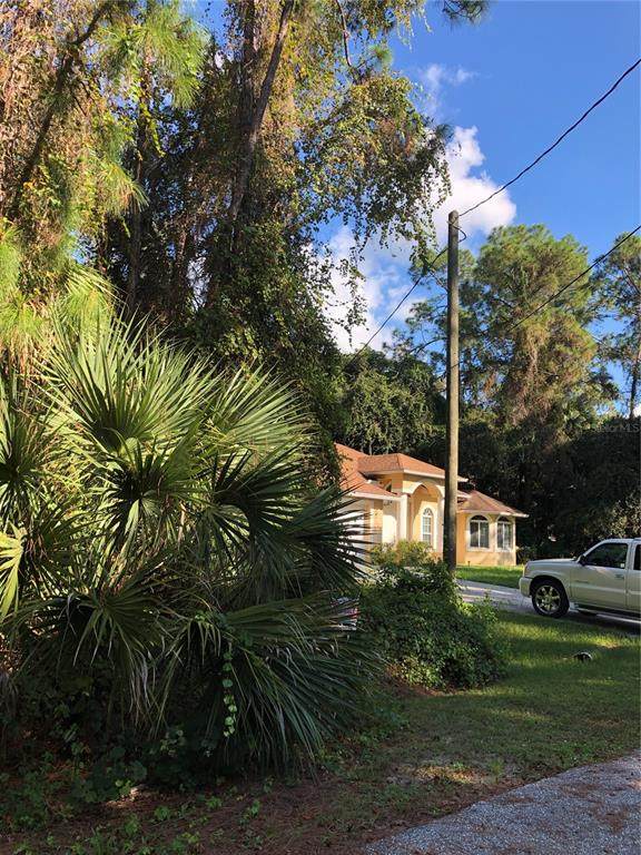 Daphne Road - Photo 1