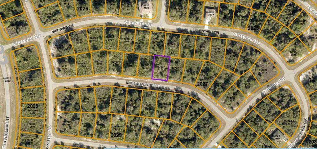 Lot 21 Mangrove Avenue - Photo 1