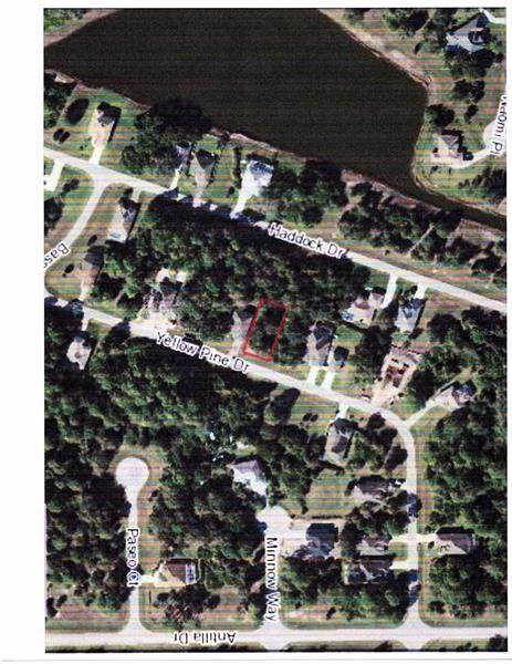 118 Yellow Pine Drive - Photo 1