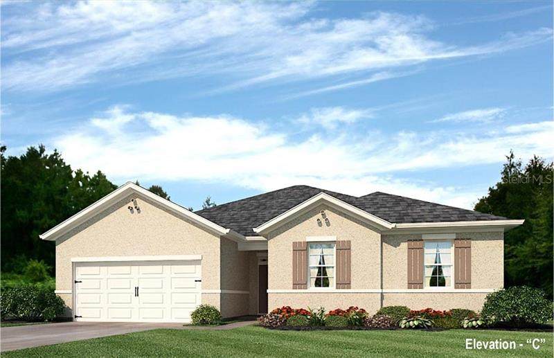 25339 Cadiz Drive - Photo 1