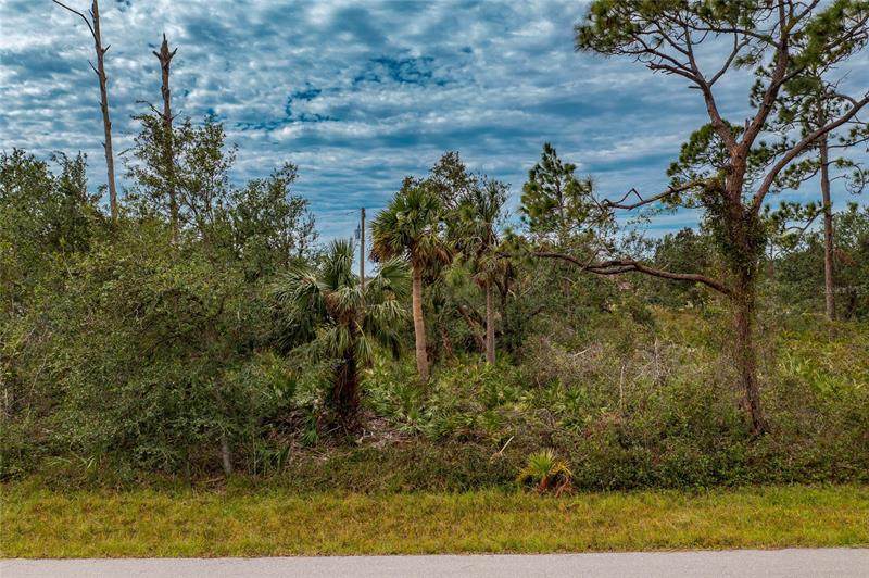 4057 Juniper Street - Photo 1