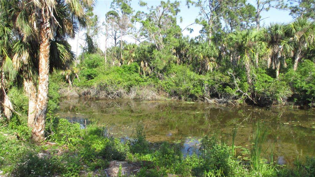  Mc Ginnis Terrace - Photo 1