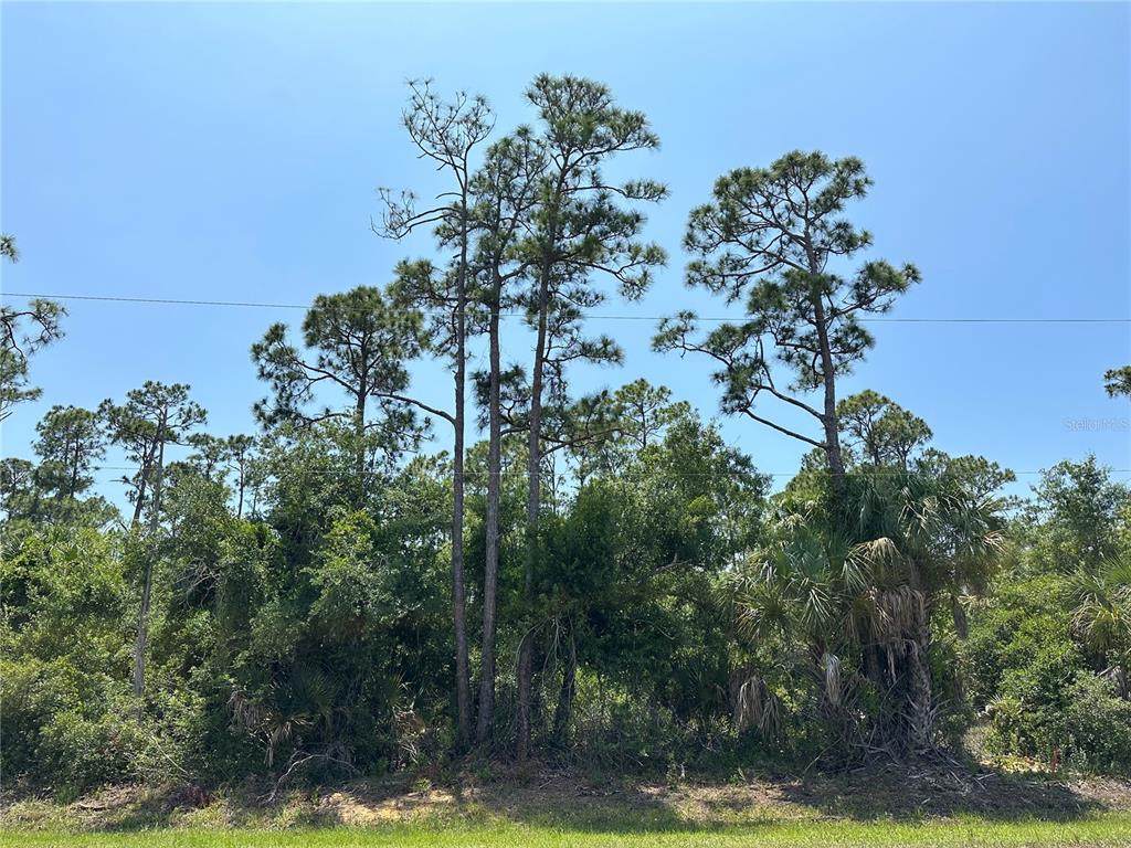 12097 Green Gulf Boulevard - Photo 1