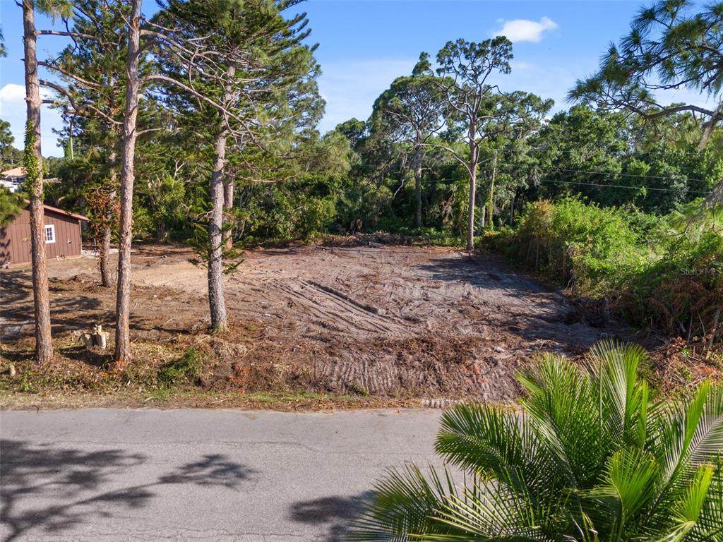 0 Ocelot Road - Photo 1