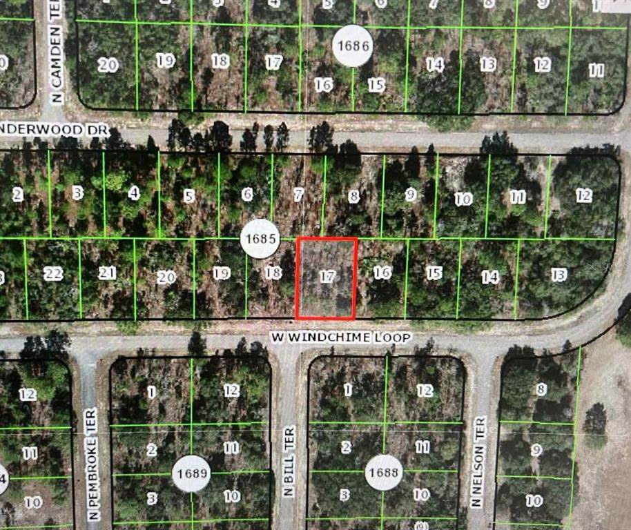 2145 Windchime Loop - Photo 1