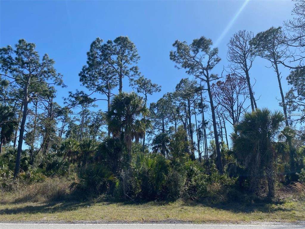 17467 and 17475 Hillsborough Boulevard - Photo 1