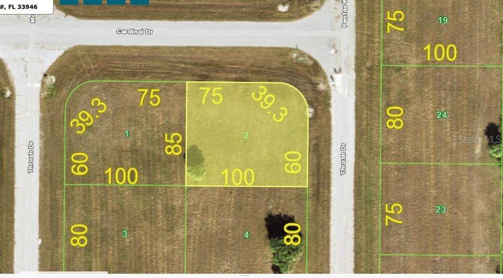 46 Thrush Drive - Photo 1