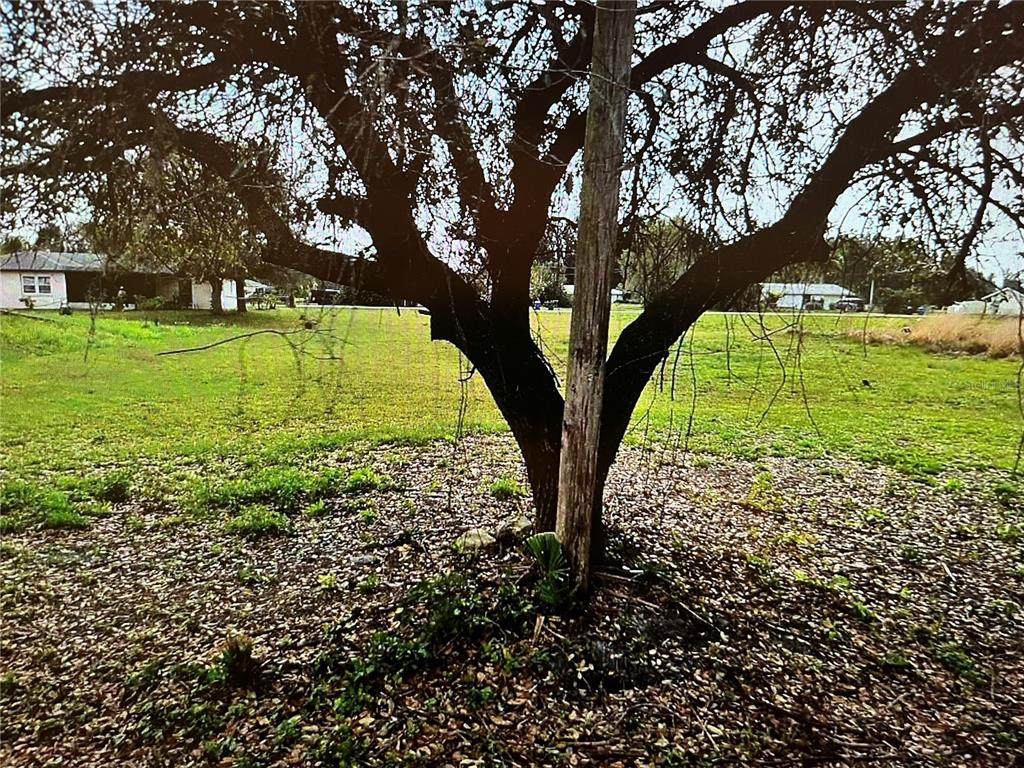 LOT 62&63 Hernando Road - Photo 1