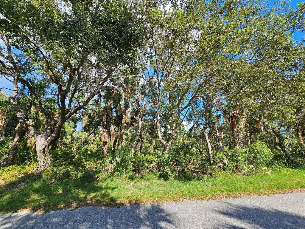 3278 Century Street - Photo 1