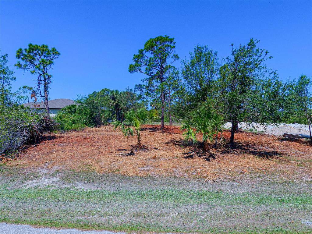 116 Redwood Road - Photo 1