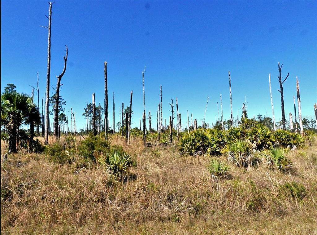  Ewen Circle - Photo 1