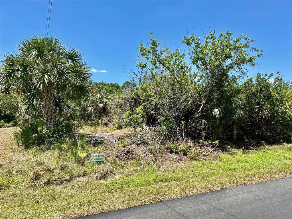 6223 Mcallen Street - Photo 1