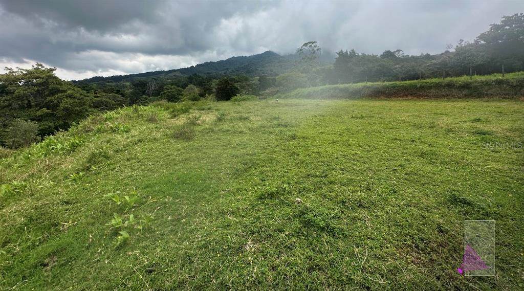  San Josesito - Photo 1