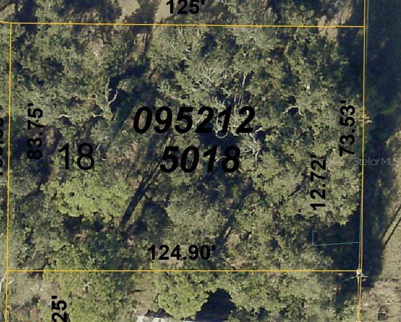  Honeybee Street - Photo 1