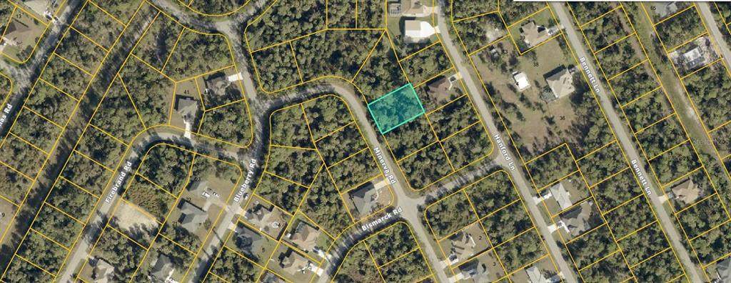 Lot 10 Minerva Road - Photo 1