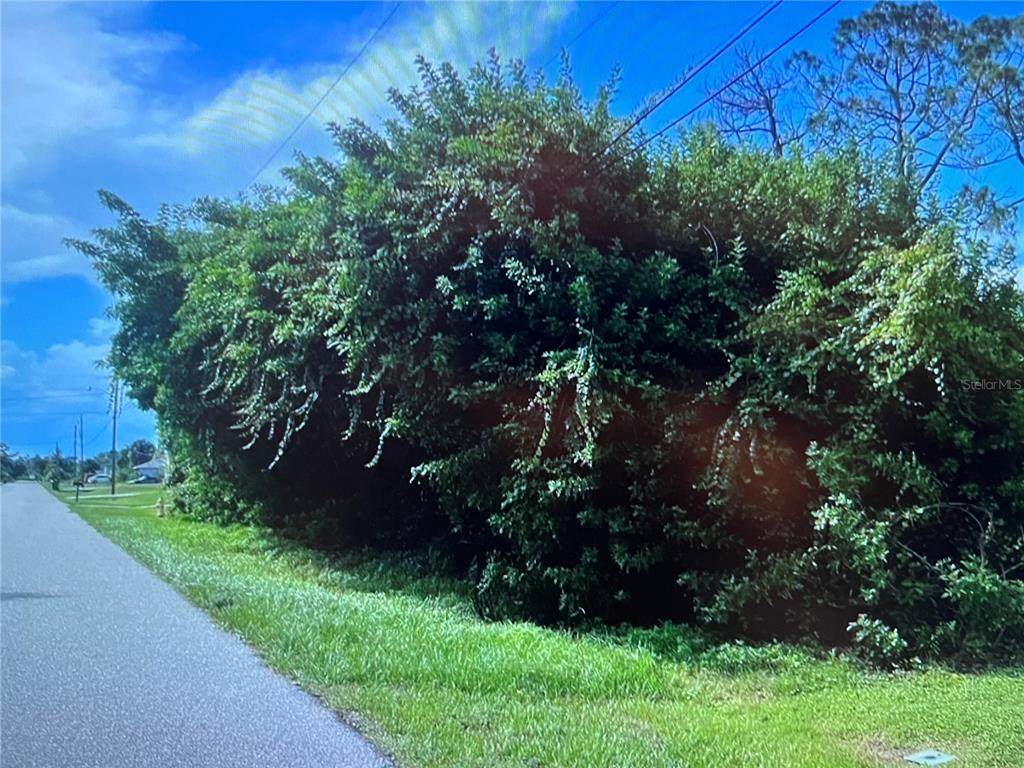 7282 Rosemont Drive - Photo 1