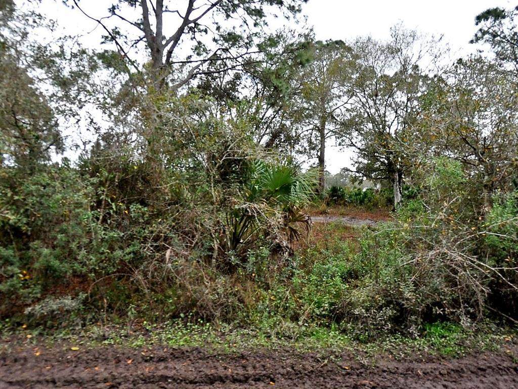  Henrietta Avenue - Photo 1