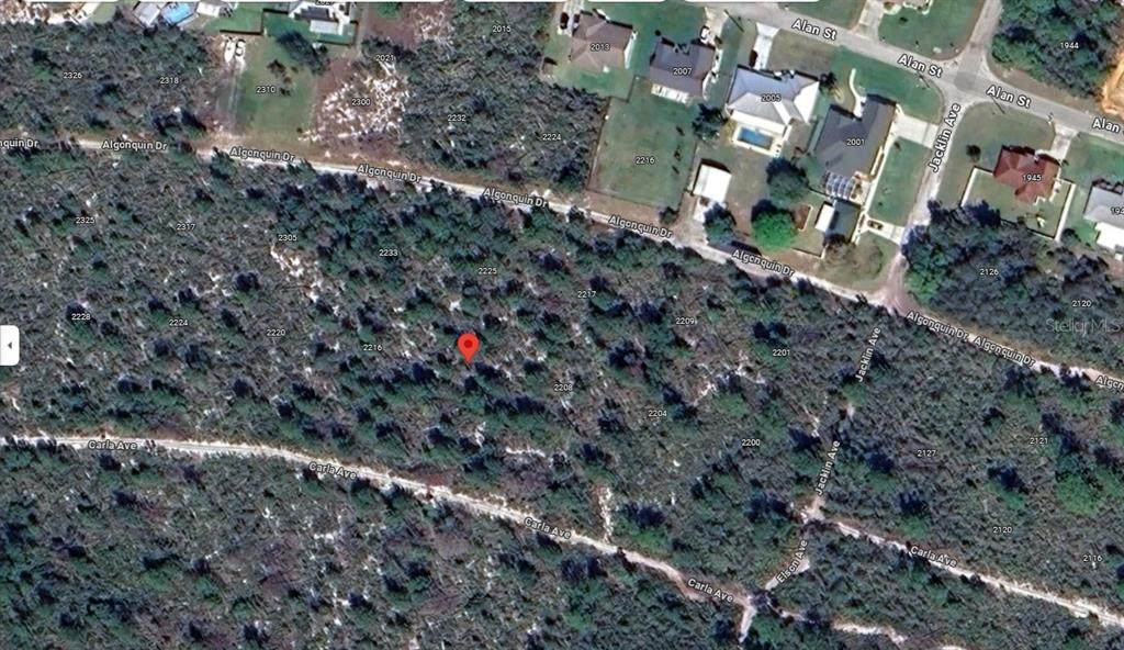 2212 Carla Avenue - Photo 1