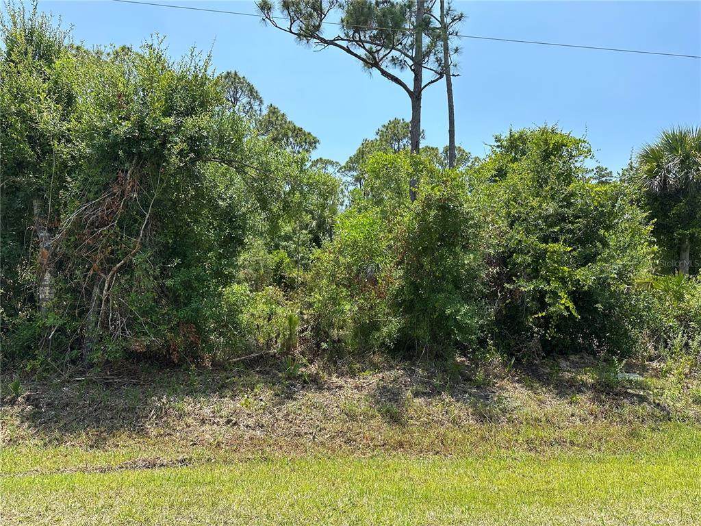 12091 Green Gulf Boulevard - Photo 1