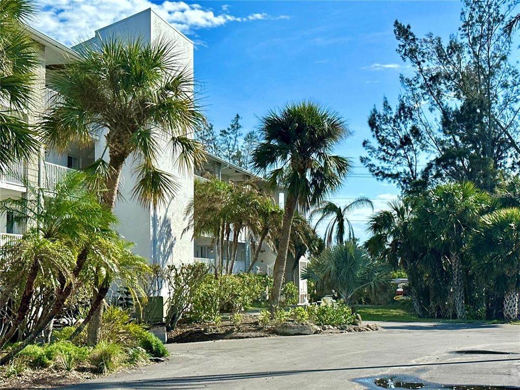 1401 Mccall Road - Photo 1