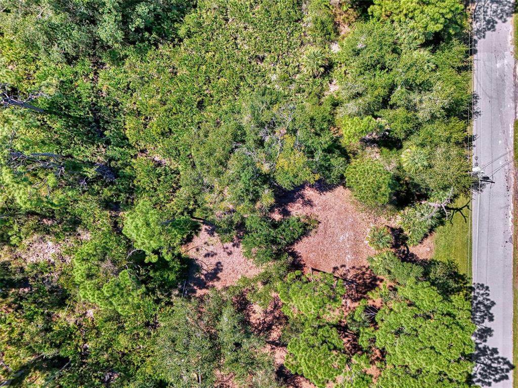 13153 Ketridge Avenue - Photo 1