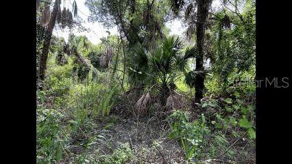  Alpen Avenue - Photo 1