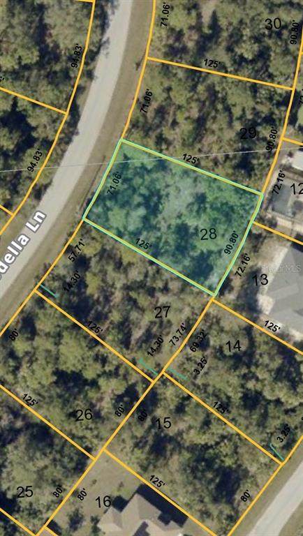  Abdella Lane - Photo 1